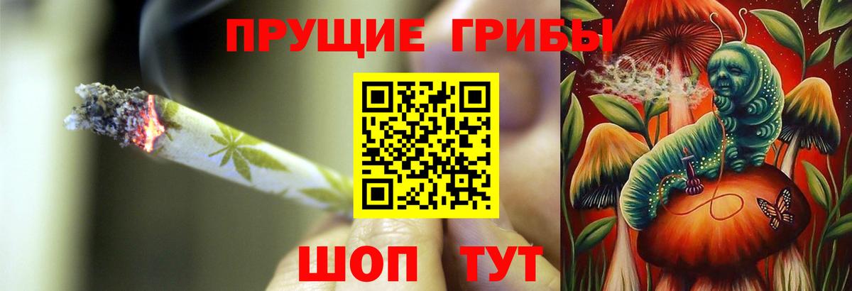 Галлюциногенные грибы MAGIC MUSHROOMS  Вход с VPN  Туапсе 